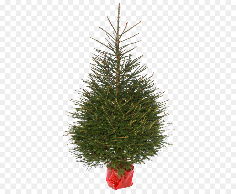 Árbol De Navidad，Luces PNG