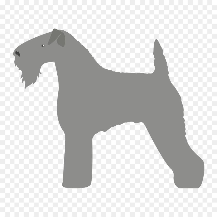 Schnauzer Miniatura，Lakeland Terrier PNG