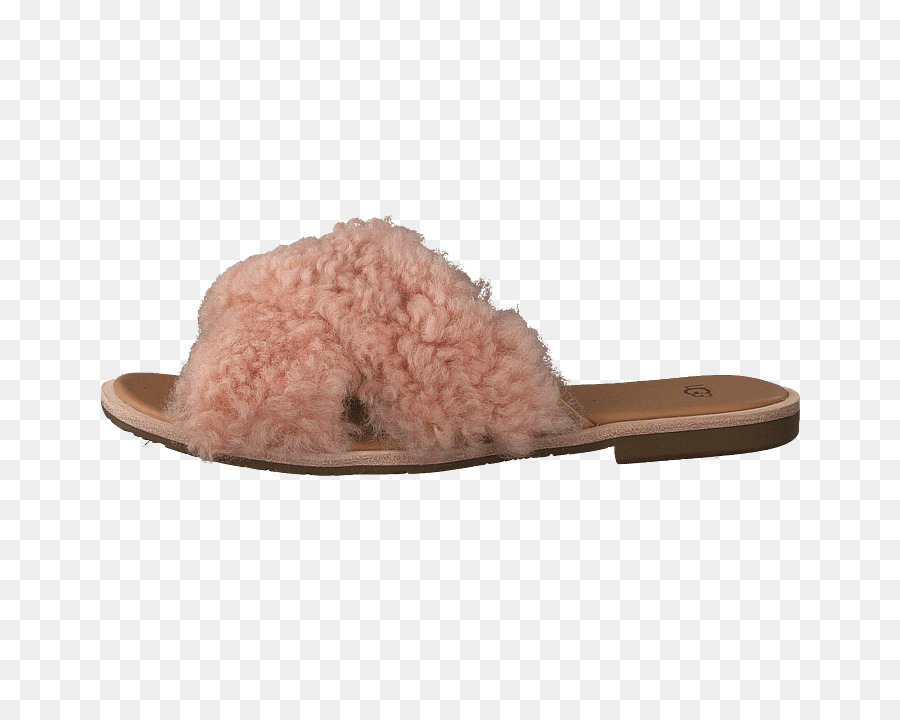 Zapatilla，Sandalia PNG