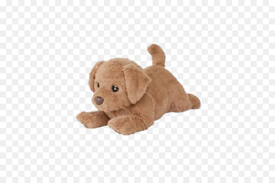 Golden Retriever，Cachorro PNG