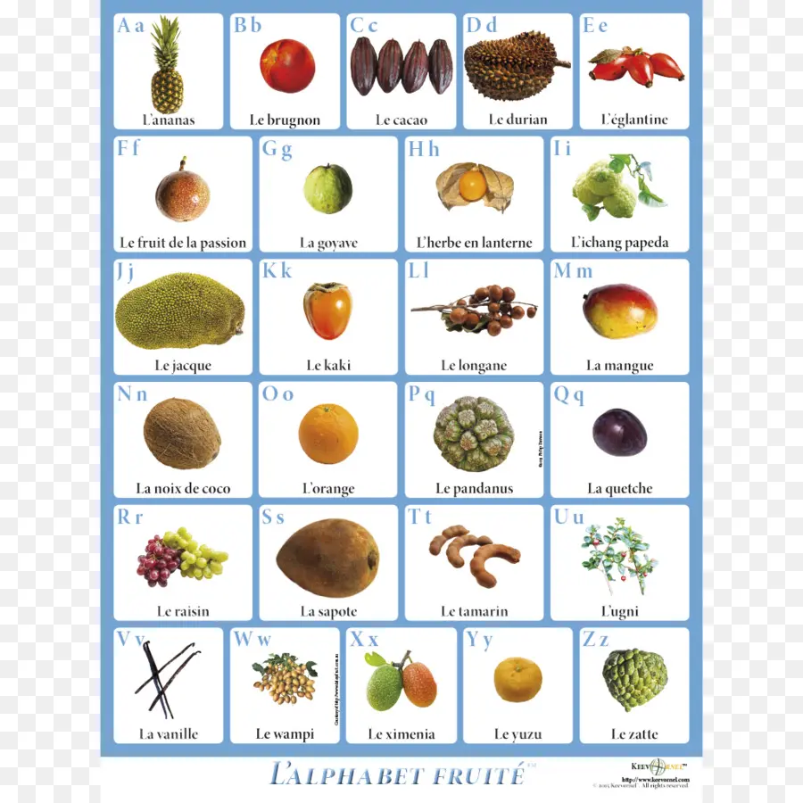 Alfabeto De Frutas，Alfabeto PNG