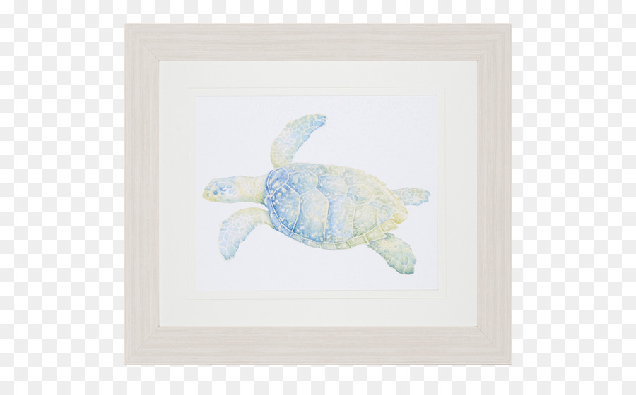 Tortuga De Mar，Tortuga PNG