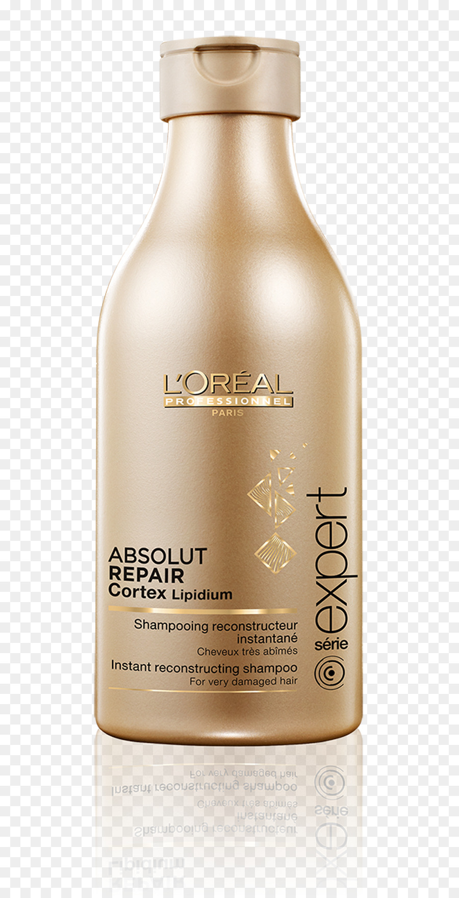 L Oréal Professionnel，L Oréal PNG