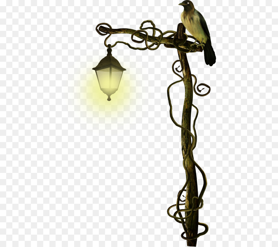 La Luz De Calle，Linterna PNG