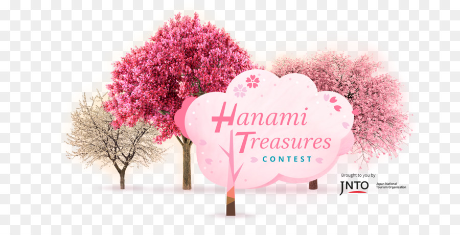 Japón，Experiencia De Hanami PNG