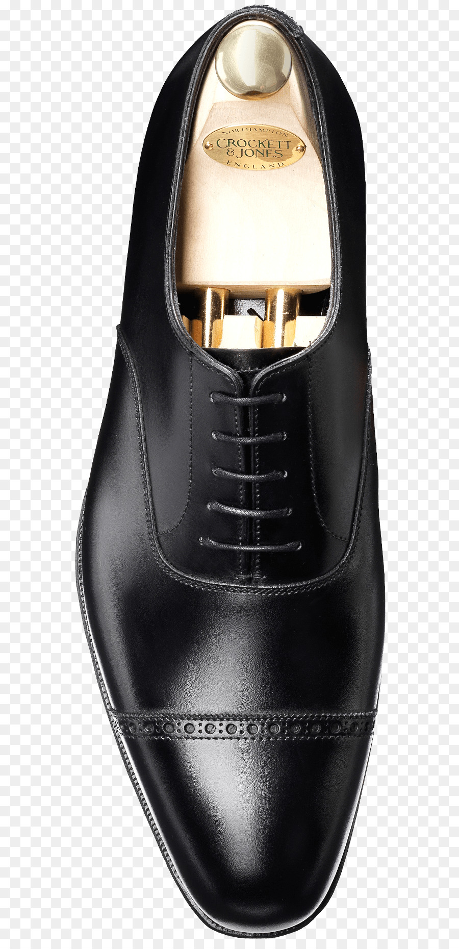 Zapato，Zapato De Oxford PNG