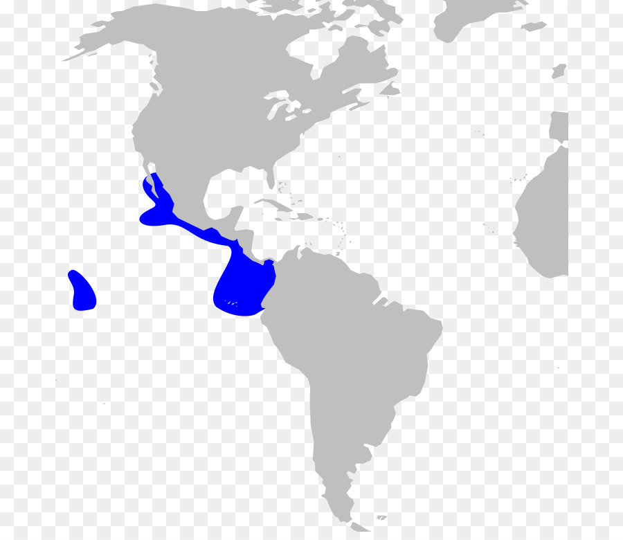 Imperio Español，La Colonización Española De Las Américas PNG