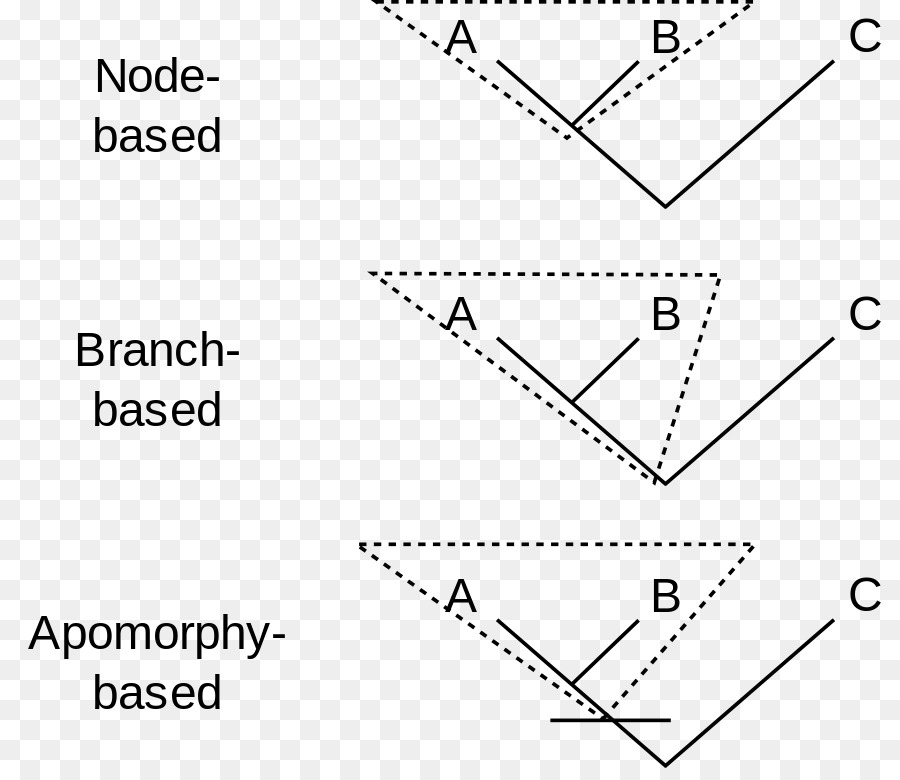 Clado，Synapomorphy Y Apomorphy PNG