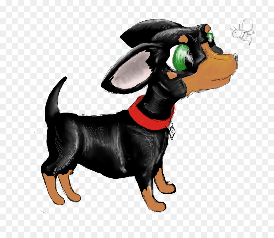 Perro Tejonero，Manchester Terrier PNG