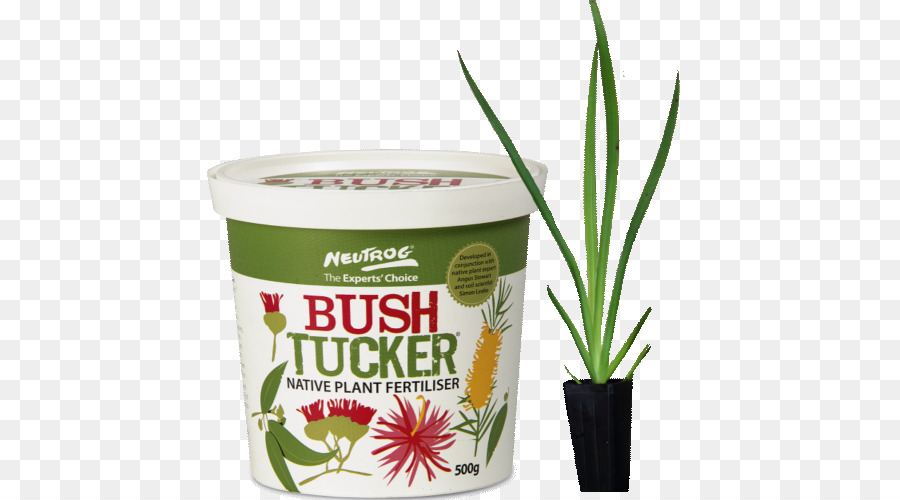 Bush Tucker，Australia PNG