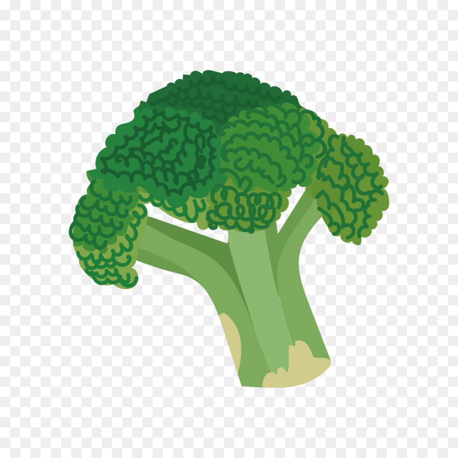 Brócoli，Verde PNG