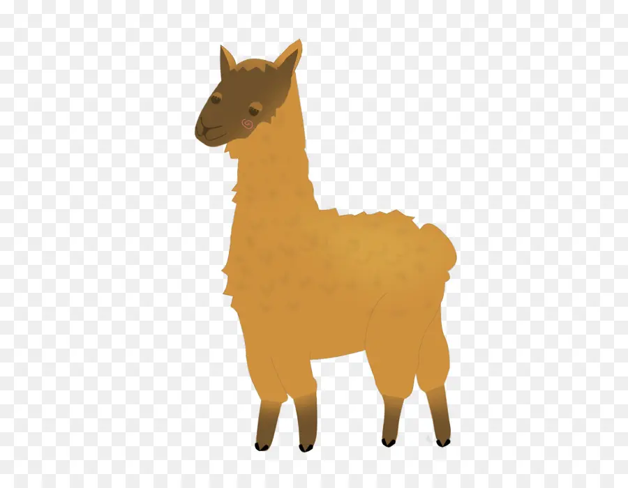 Llama，Lindo PNG