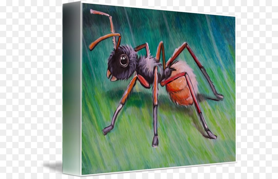 Pintura，Los Insectos PNG