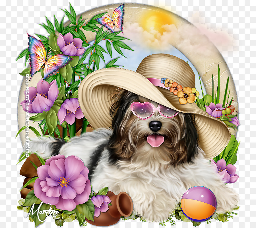 Morkie，Cachorro PNG