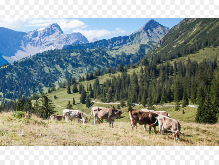 Alpes，El Ganado PNG