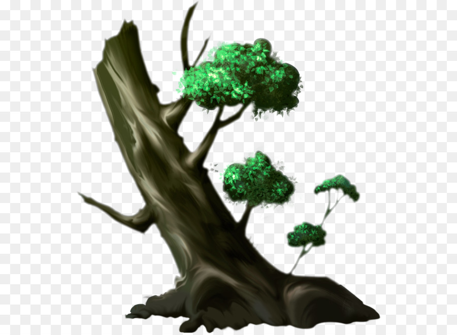 Rama，Árbol PNG