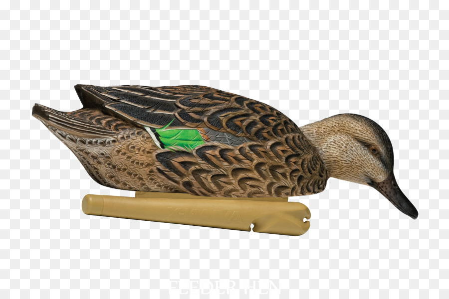 Señuelo De Pato，Caza PNG