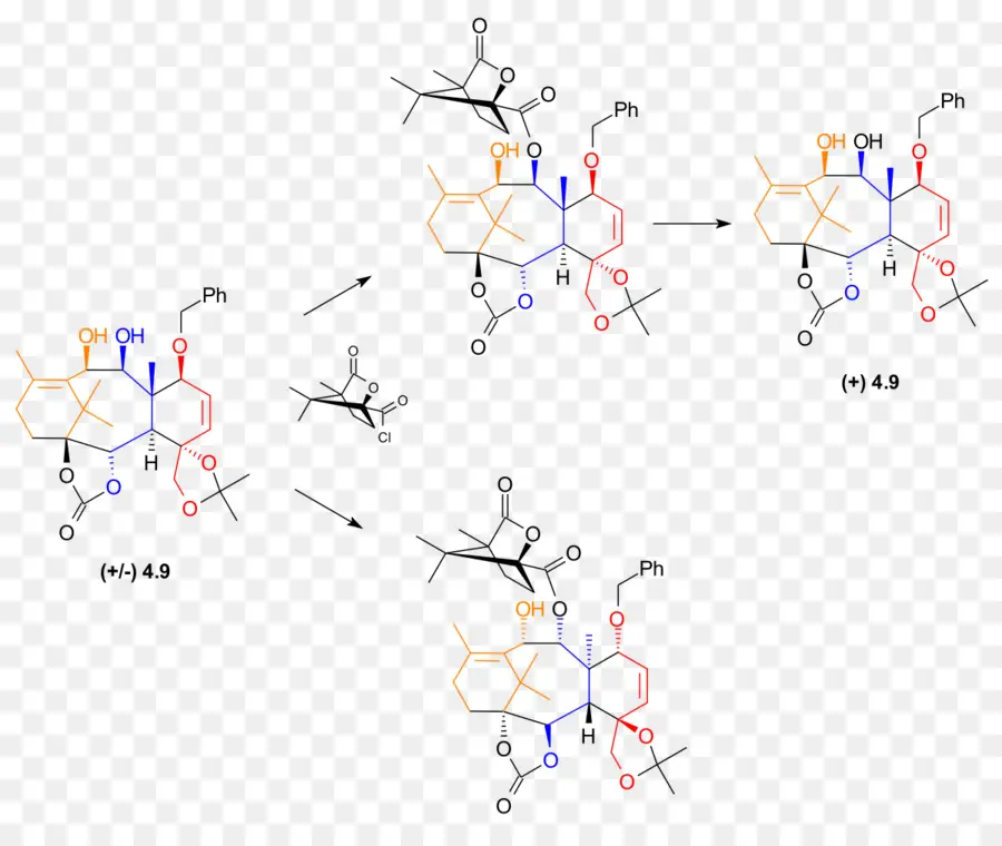 Estructura Química，Molécula PNG