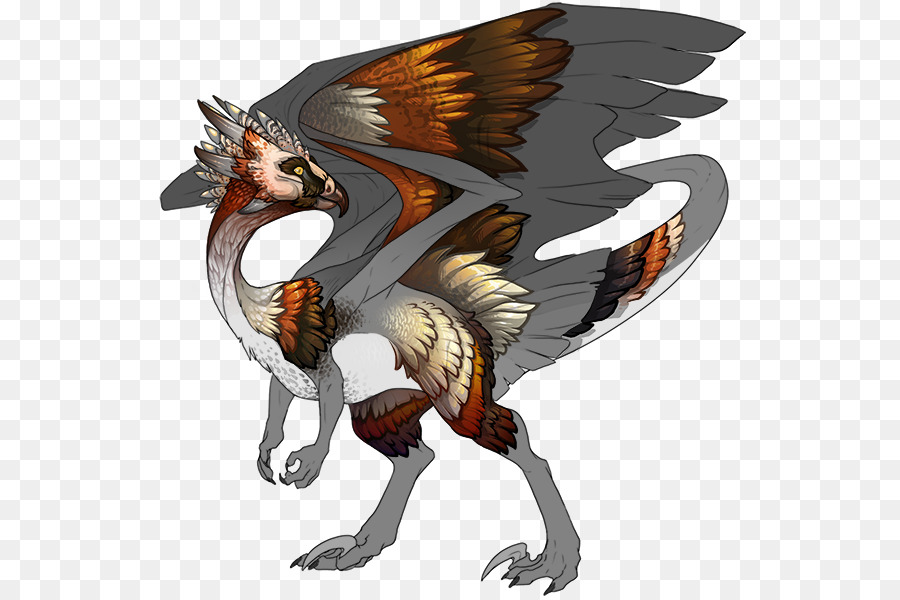 Dragón，Dragon Age Origins PNG