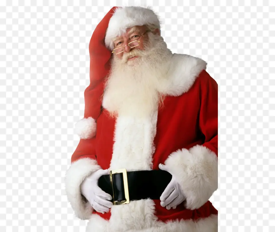 Santa Claus，La Señora Claus PNG