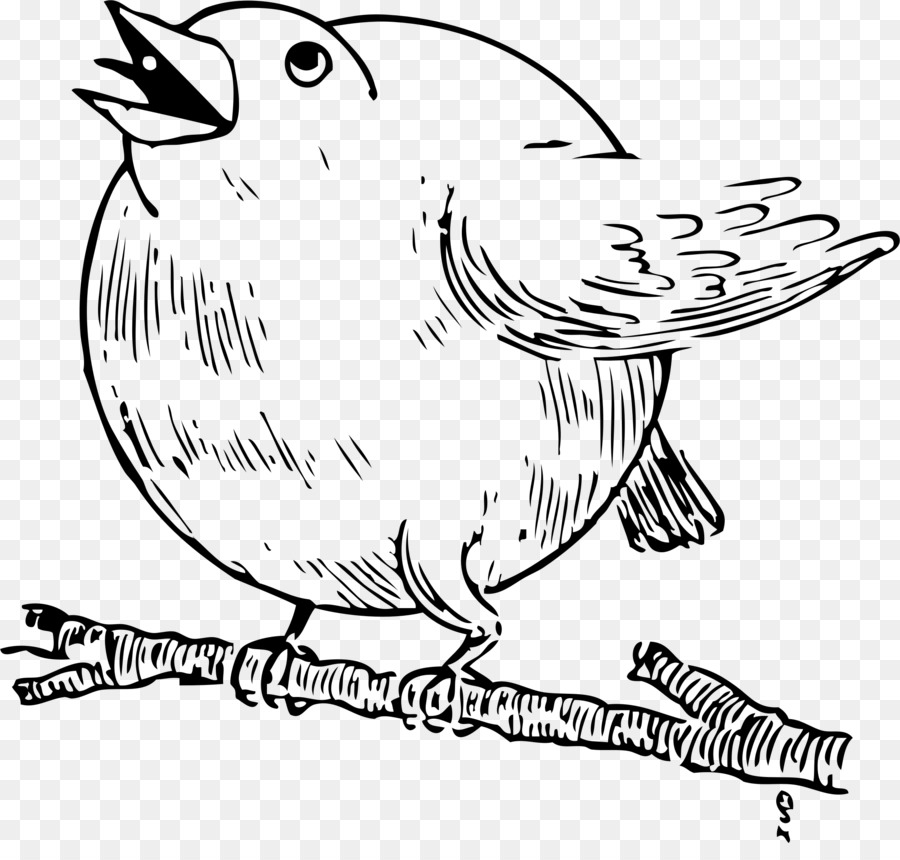 Bosquejo De Pájaro，Dibujo PNG