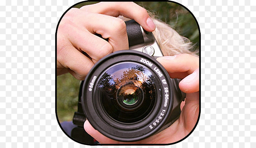 La Fotografía，Royaltyfree PNG