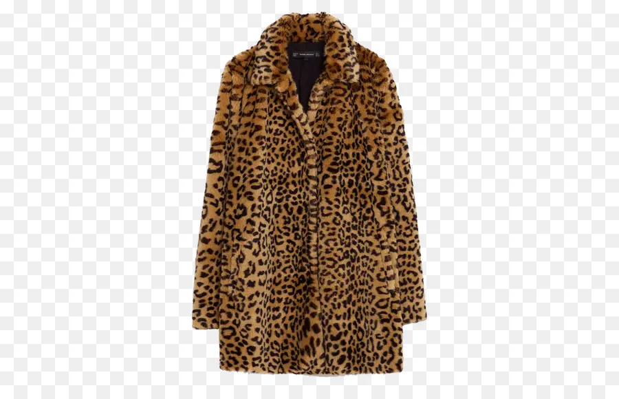 Leopardo，Zara PNG