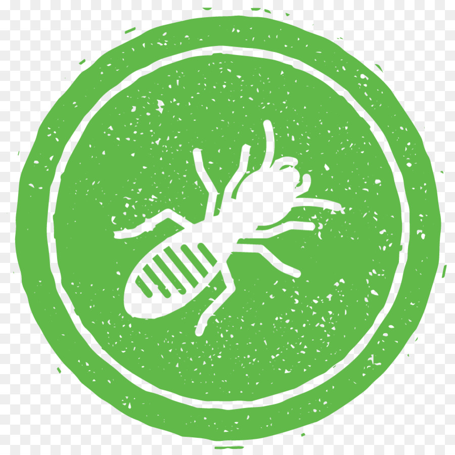 Insecticida，Rata PNG