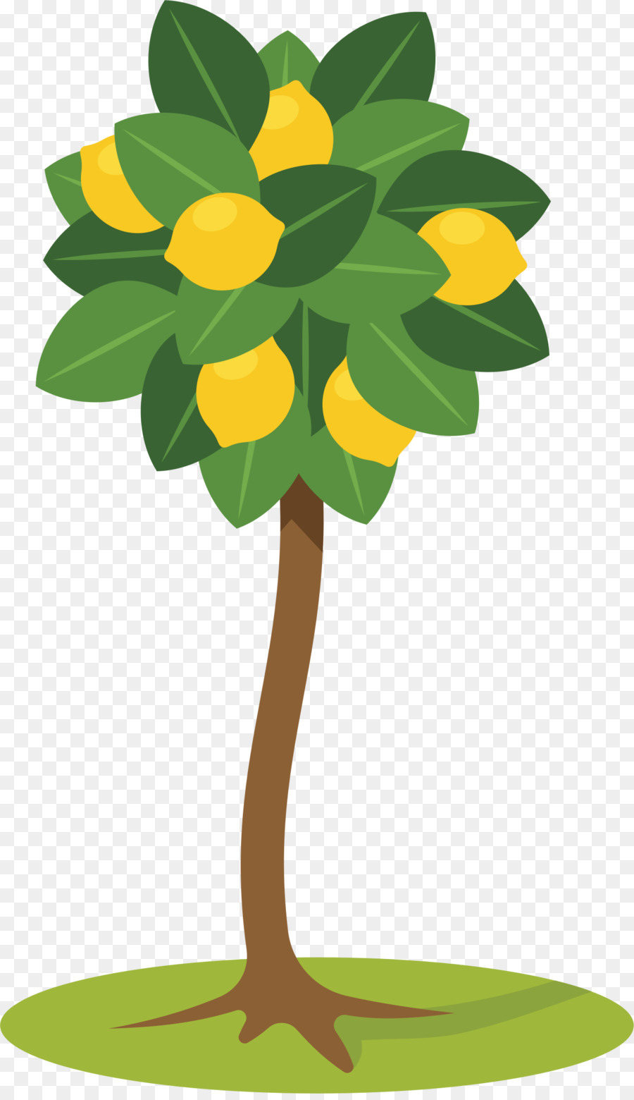 Descargar，Árbol PNG