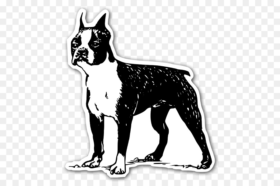 Terrier De Boston，Bull Terrier PNG