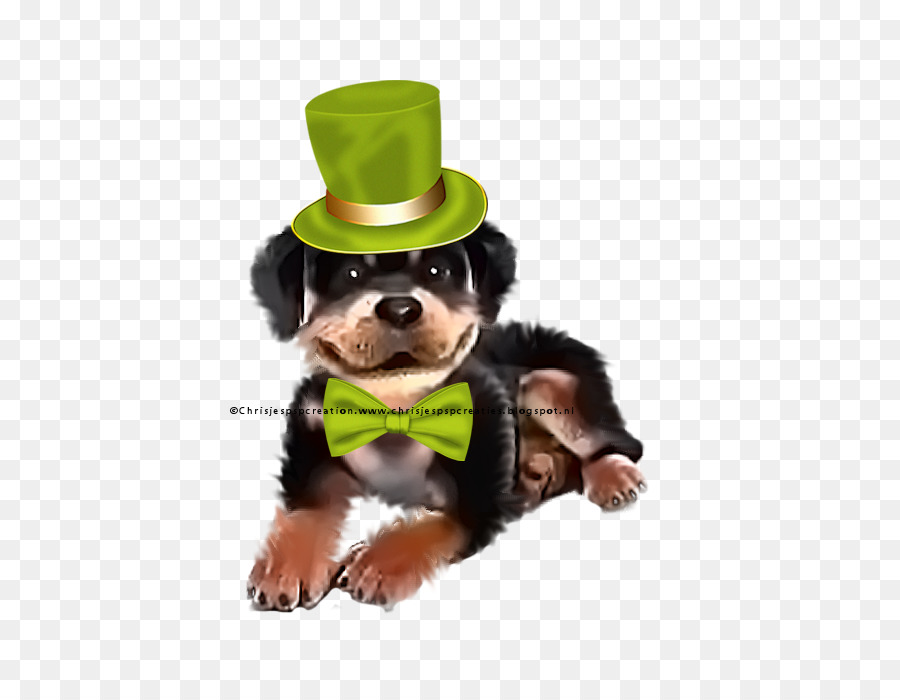 Cachorro，Perro PNG