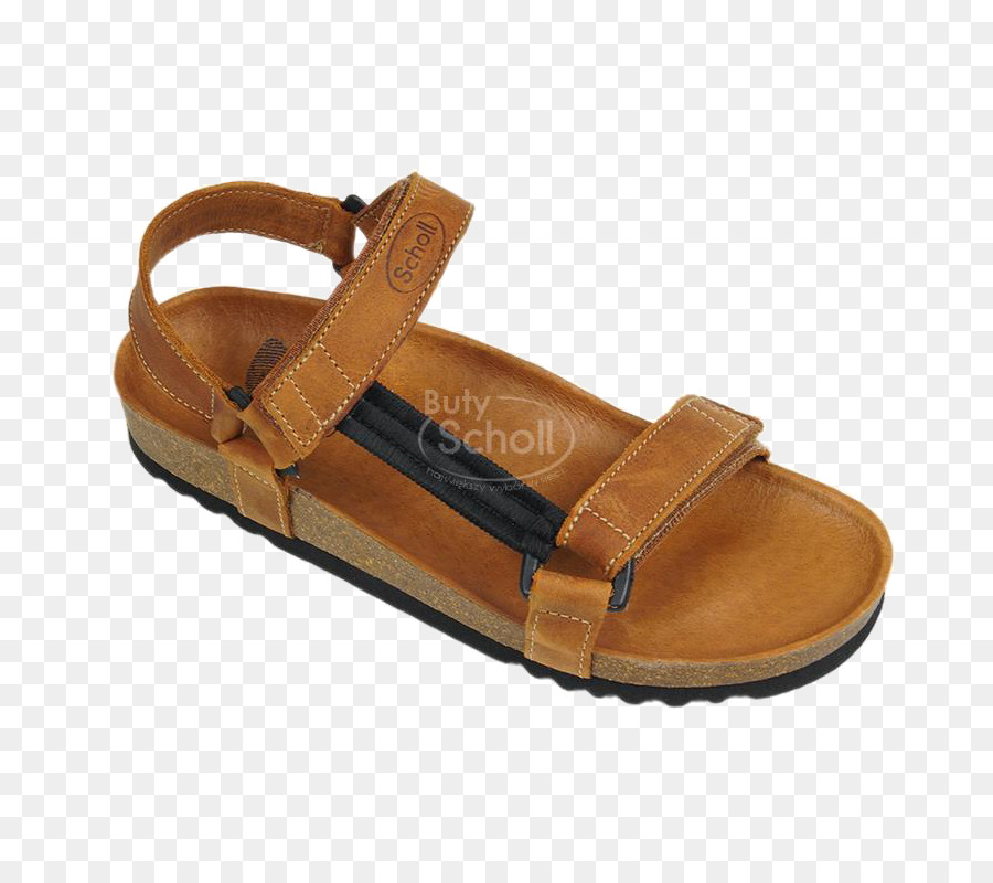 Sandalia，Zapato PNG