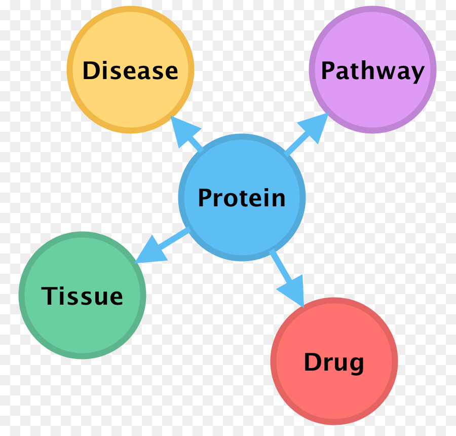 Reacción Química，La Química PNG