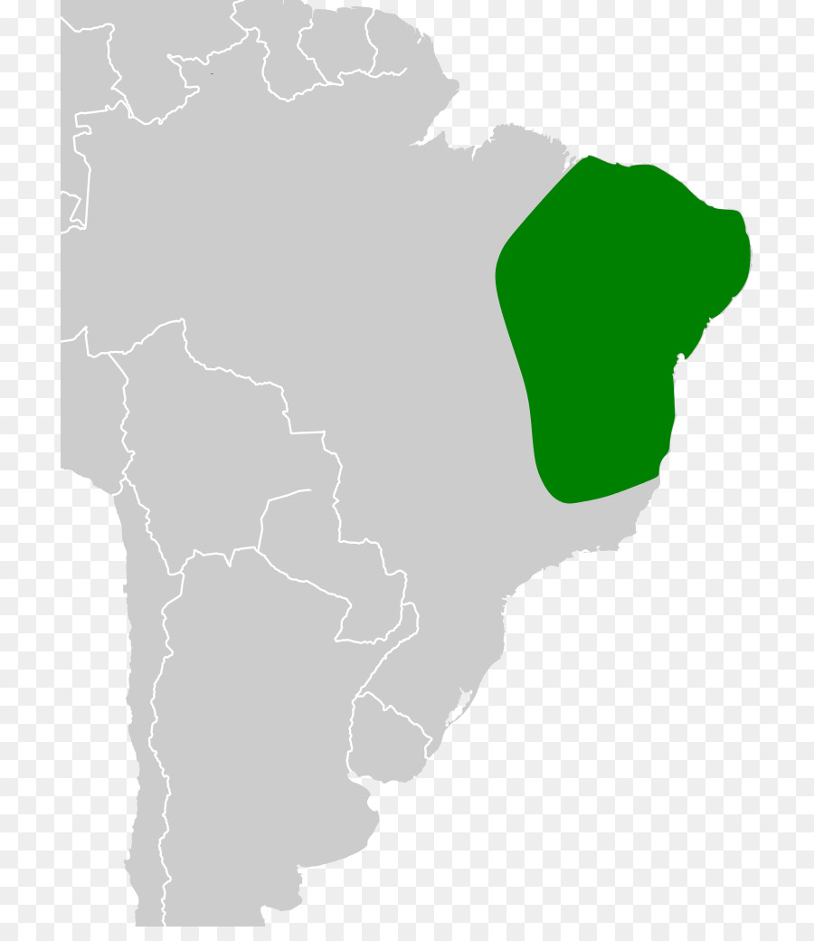 Sudamerica，Verde PNG