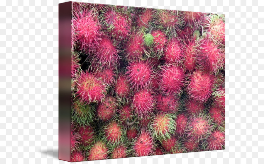 Rambután，Fruta PNG