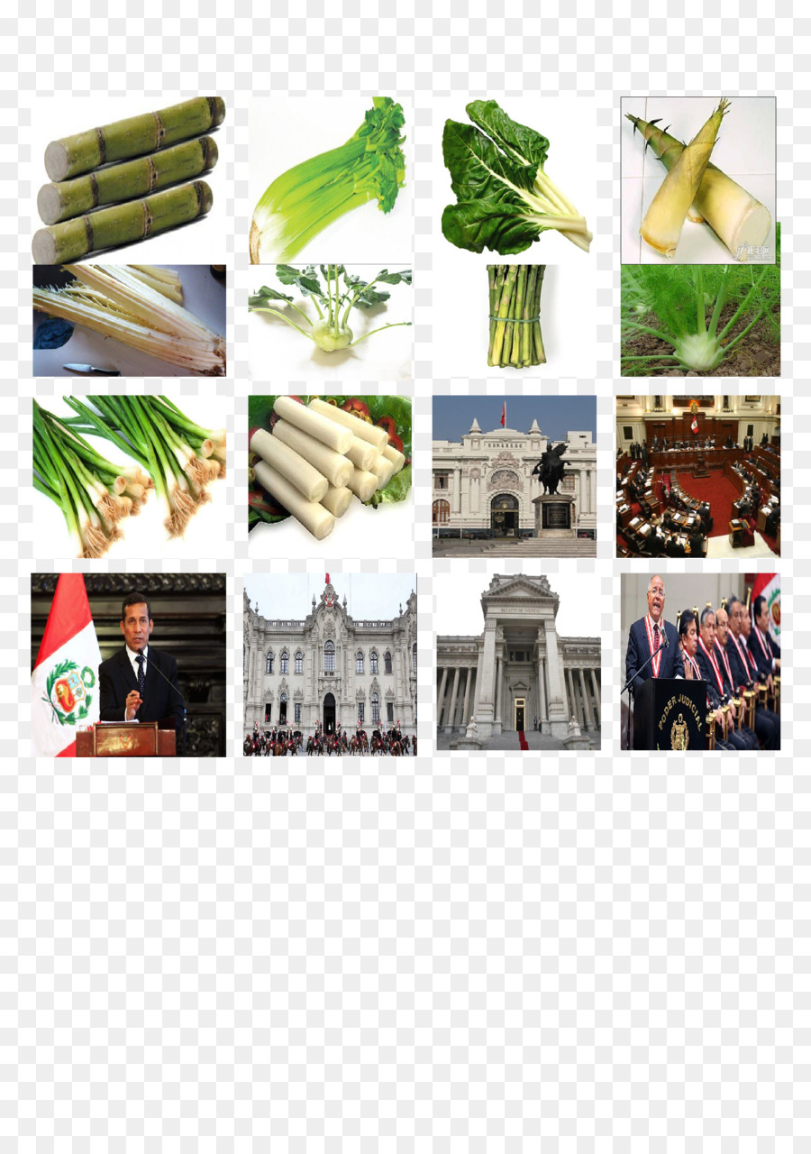 Tallo De La Planta，Bombilla PNG