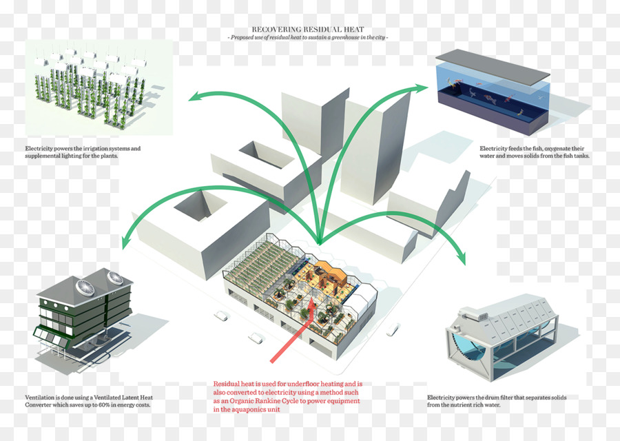 Ecosistema Urbano，Ecosistema PNG