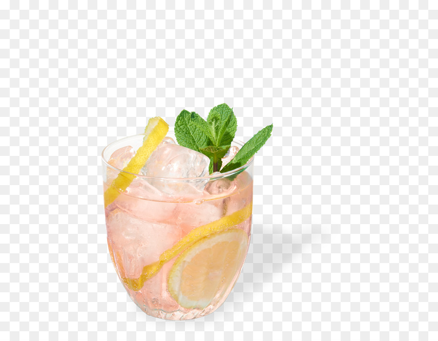 Cóctel De Guarnición，Gin Tonic PNG