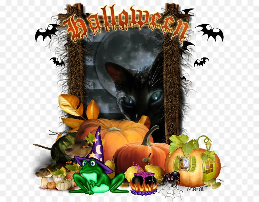 Gato De Halloween，Calabazas PNG