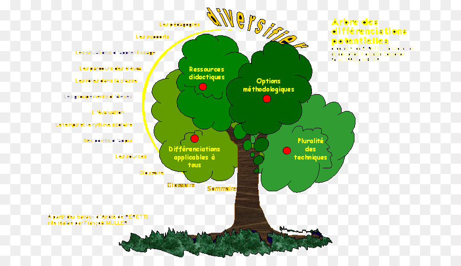 Árbol，La Pedagogía PNG