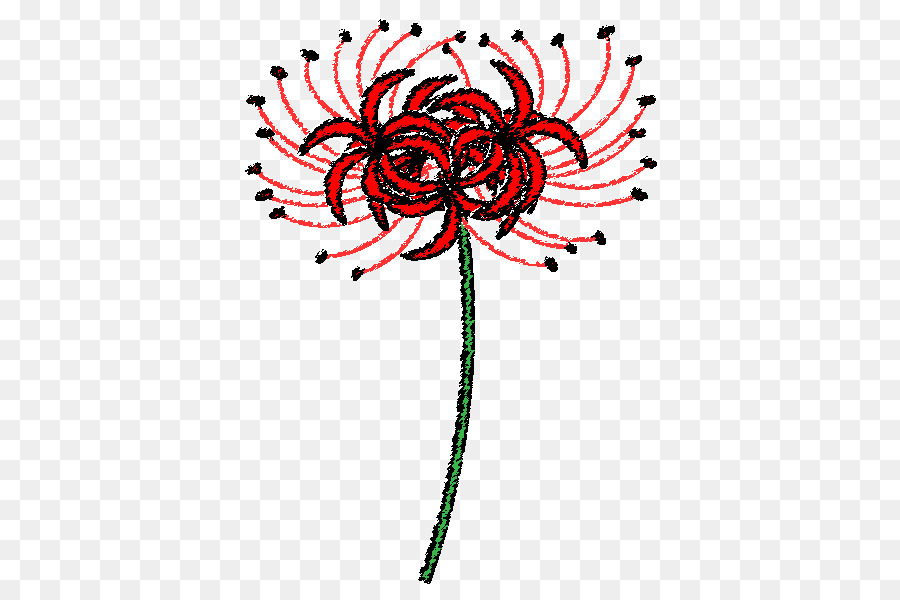 Diseño Floral，Araña Roja Lily PNG