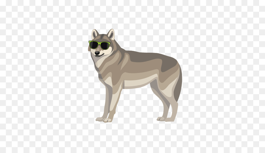 Saarloos Wolfdog，Wolfdog Checoslovaco PNG