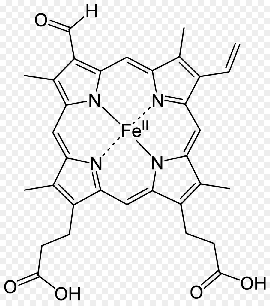 Hemo，Clorocruorina PNG