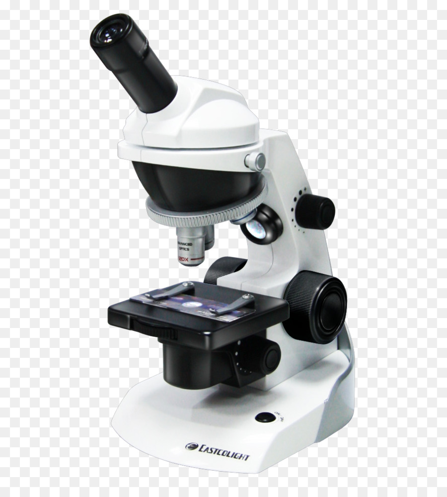 Microscopio，Ciencia PNG