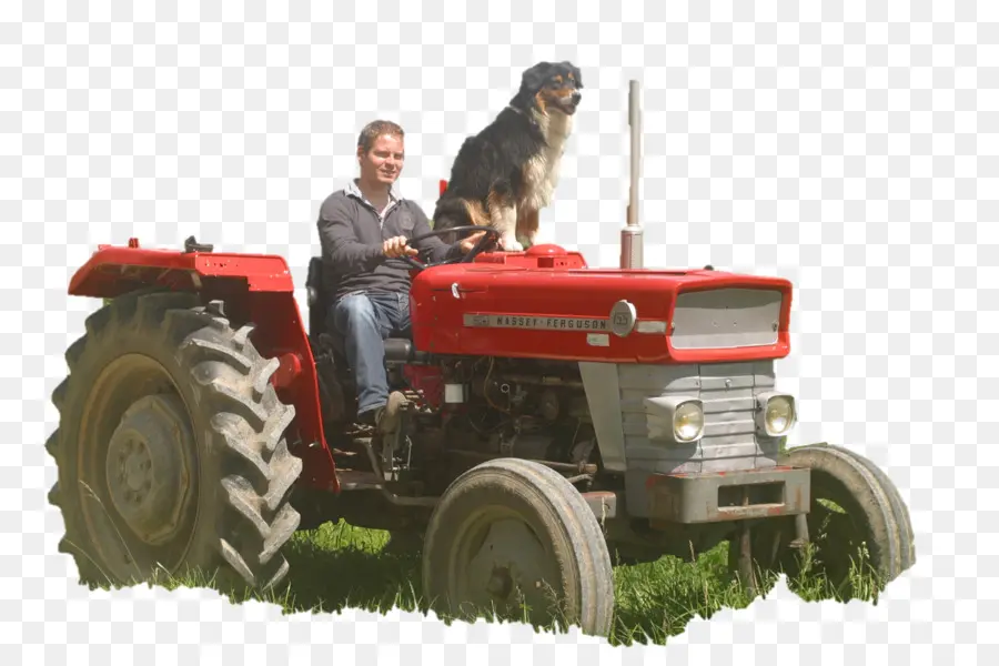 Hombre En Tractor Con Perro，Tractor PNG