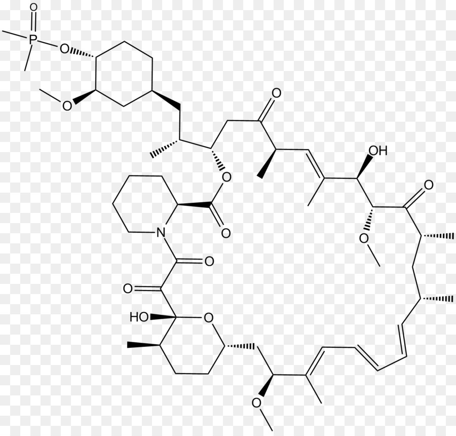 Estructura Química，Molécula PNG