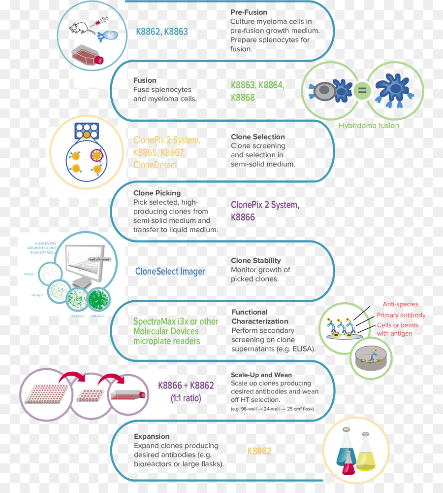 Tecnología De Hibridoma，El Cultivo De Células PNG