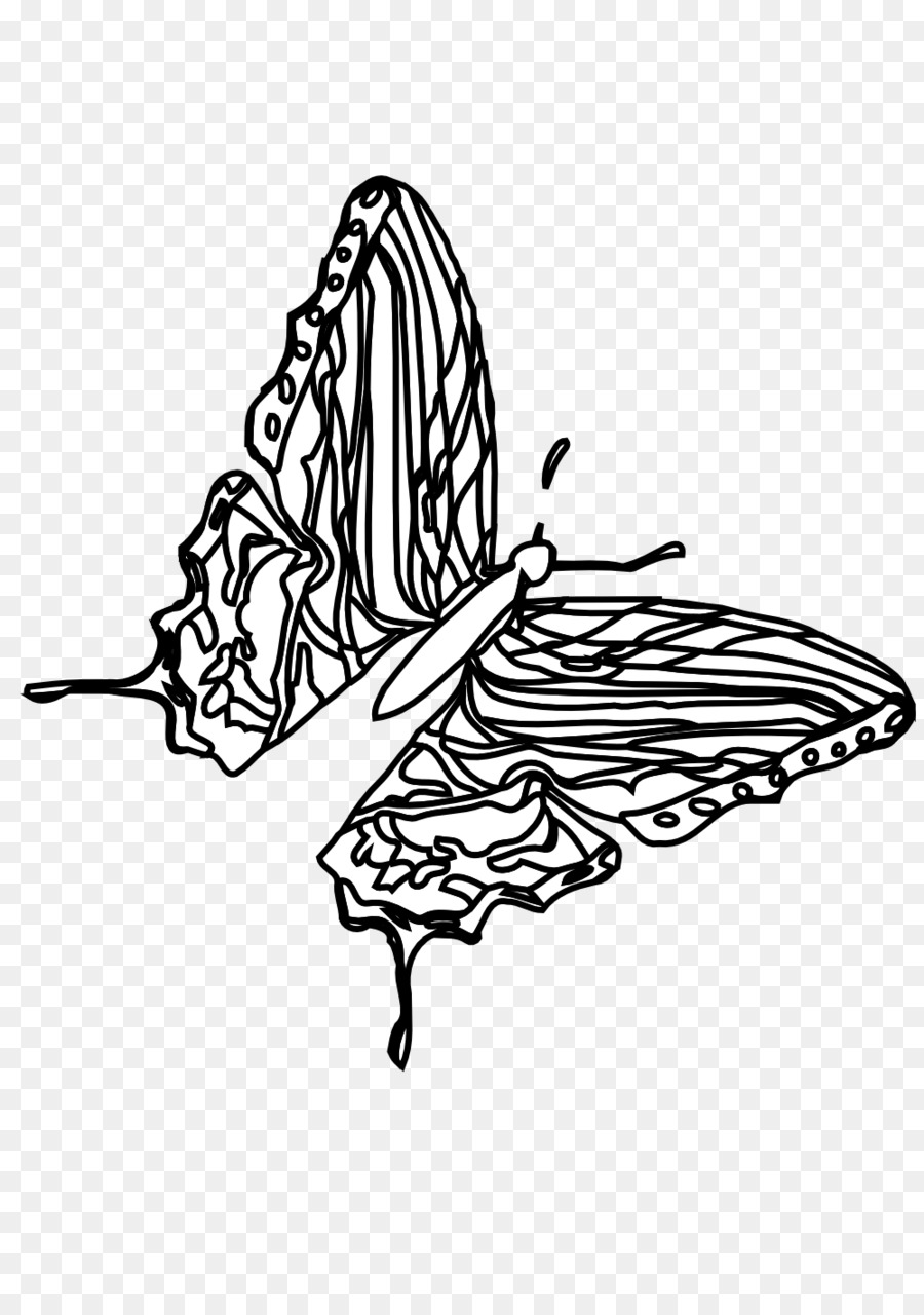 Mariposa，En Blanco Y Negro PNG