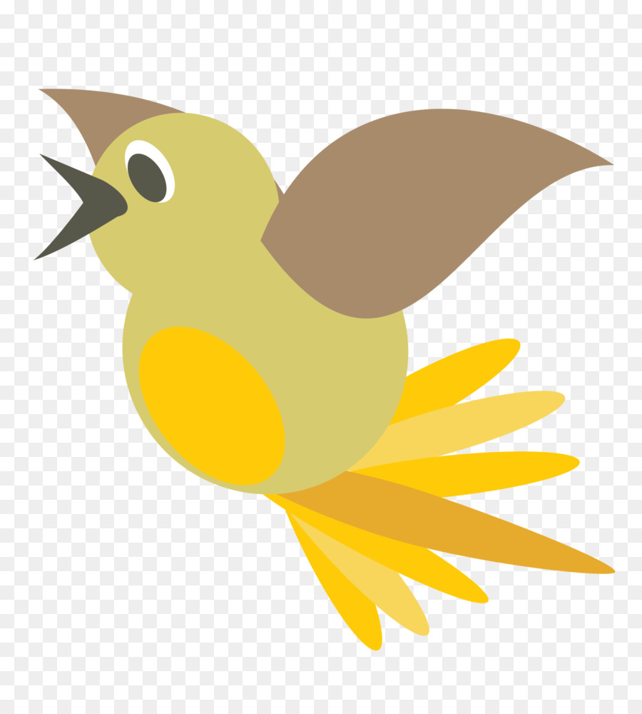 Pájaro Colorido，Plumas PNG