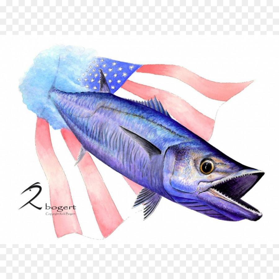 Caballa，Productos Para Pescado PNG